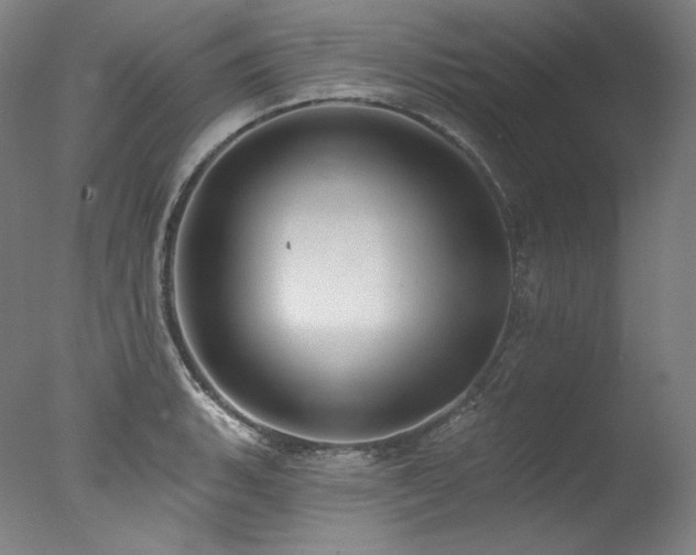 X0000077371135200610201342