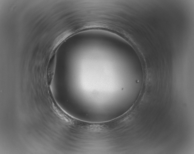 X0000077371137200610201342