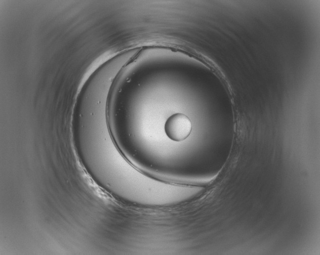 X0000077371138200610201342