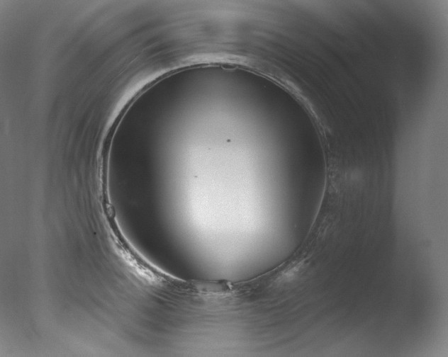 X0000077371140200610201342