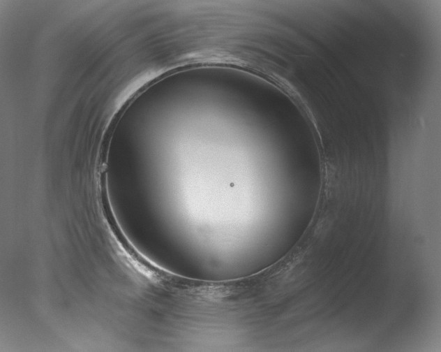 X0000077371141200610201342