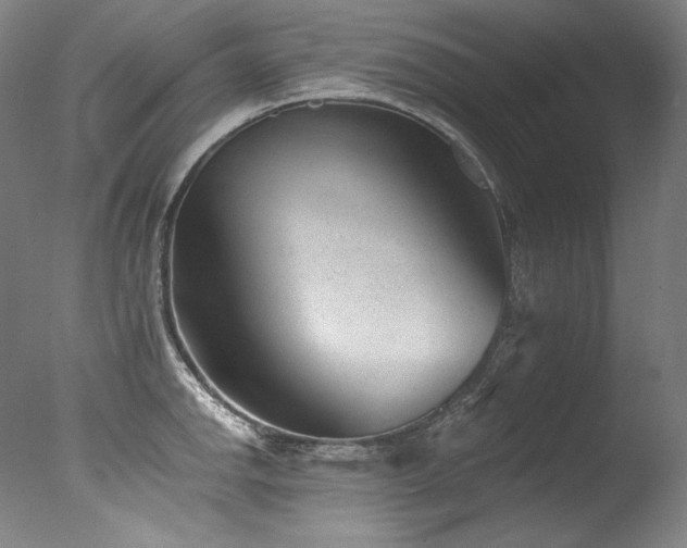 X0000077371142200610201342