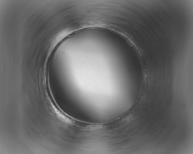 X0000077371143200610201342