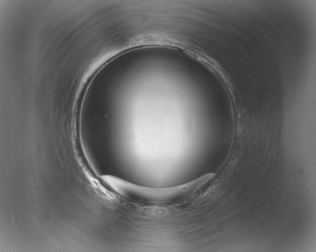 X0000077371144200610201342