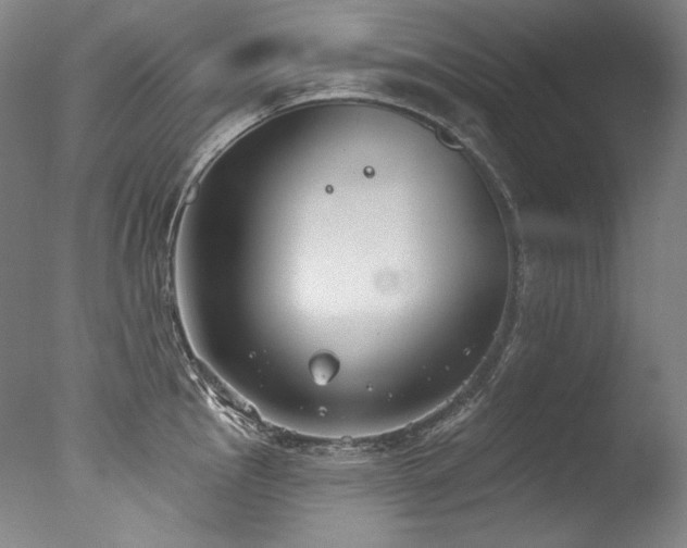 X0000077371145200610201342