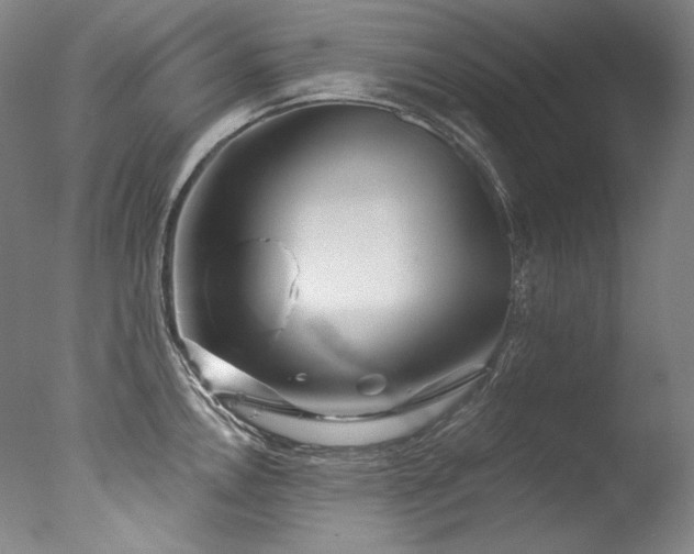 X0000077371146200610201342