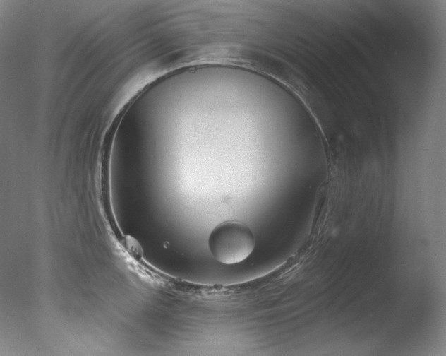 X0000077371147200610201342