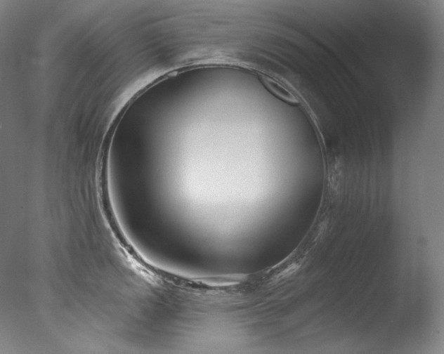 X0000077371149200610201342