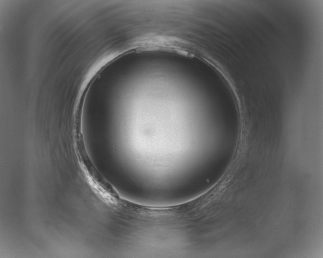 X0000077371152200610201342