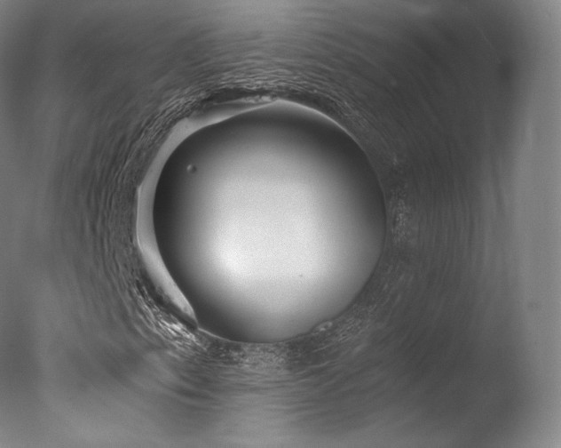 X0000077371153200610201341