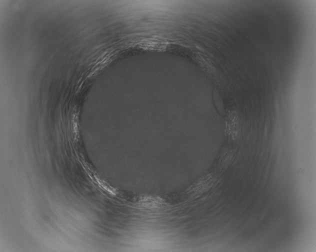 X0000077371154200610201341