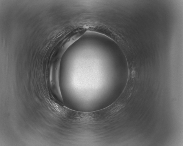 X0000077371156200610201341