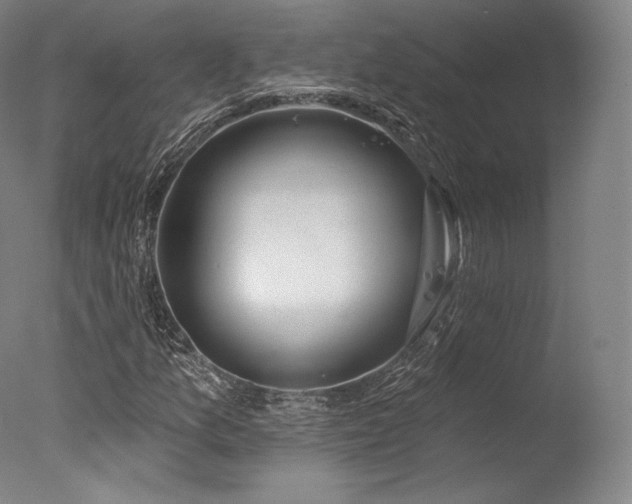 X0000077371157200610201341