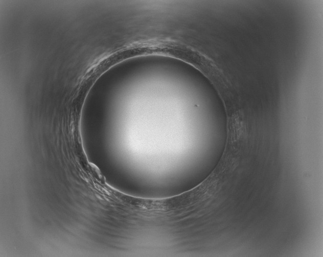 X0000077371158200610201341