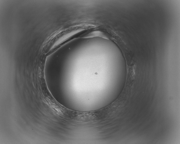 X0000077371159200610201341