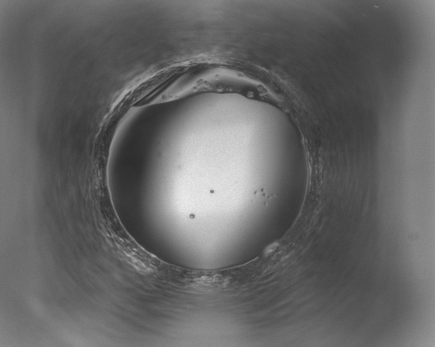 X0000077371160200610201341