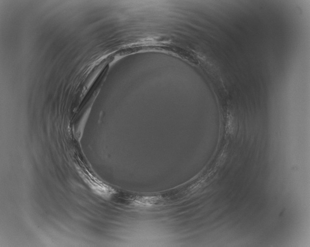 X0000077371161200610201341