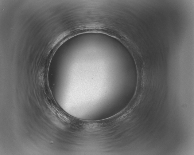 X0000077371162200610201341