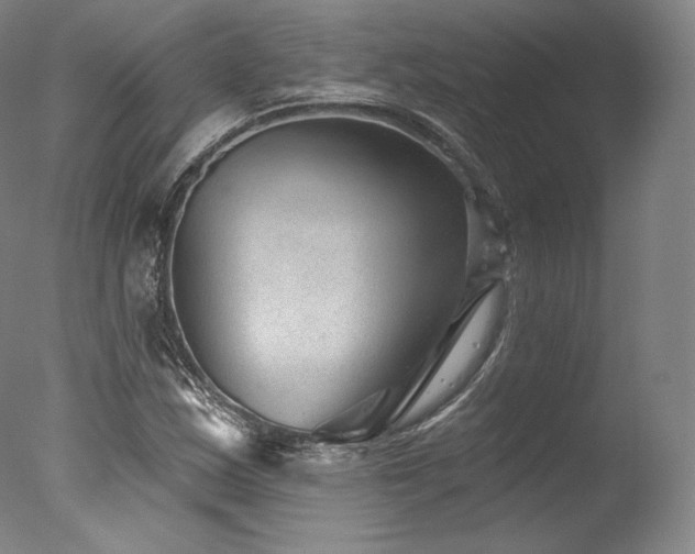 X0000077371163200610201341