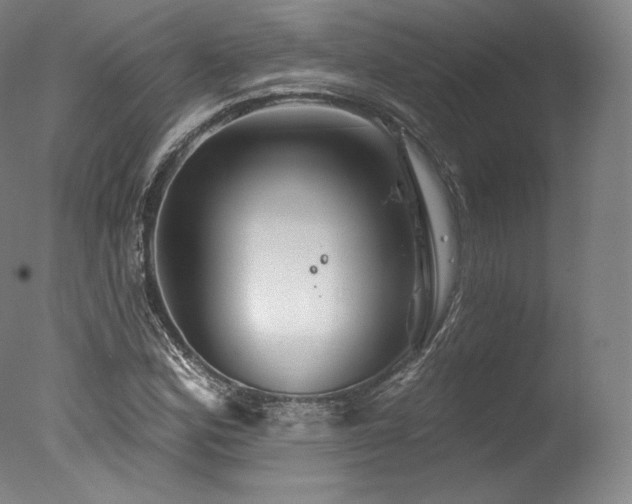 X0000077371164200610201341