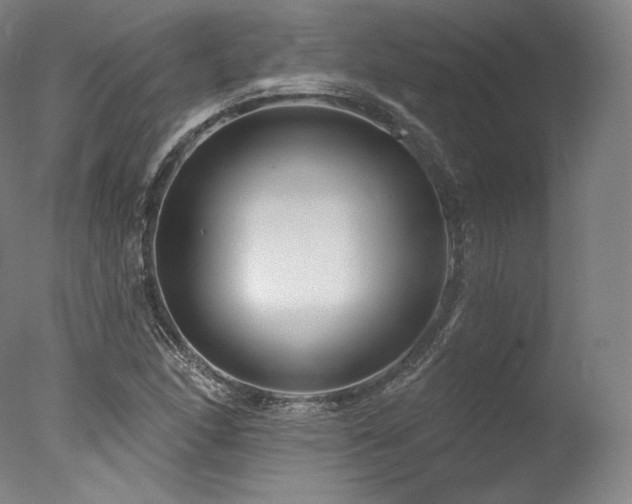 X0000077371166200610201341