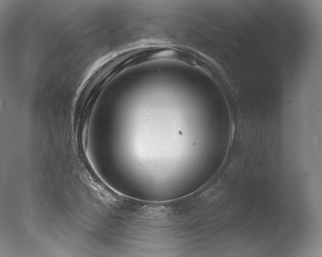 X0000077371168200610201341