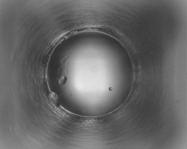 X0000077371169200610201341