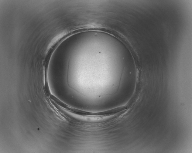 X0000077371171200610201341