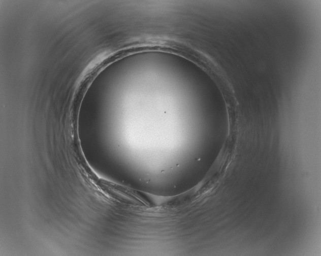 X0000077371172200610201341