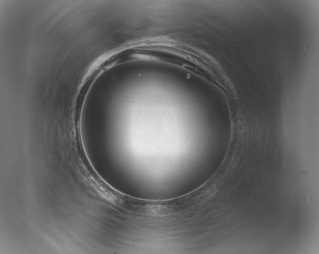 X0000077371176200610201341