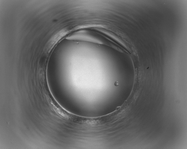 X0000077371177200610201341