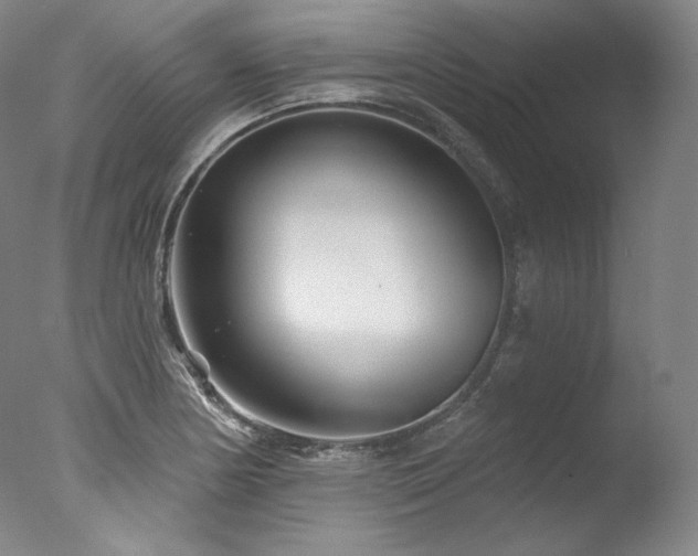 X0000077371178200610201341