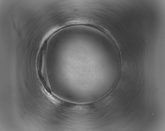 X0000077371179200610201341