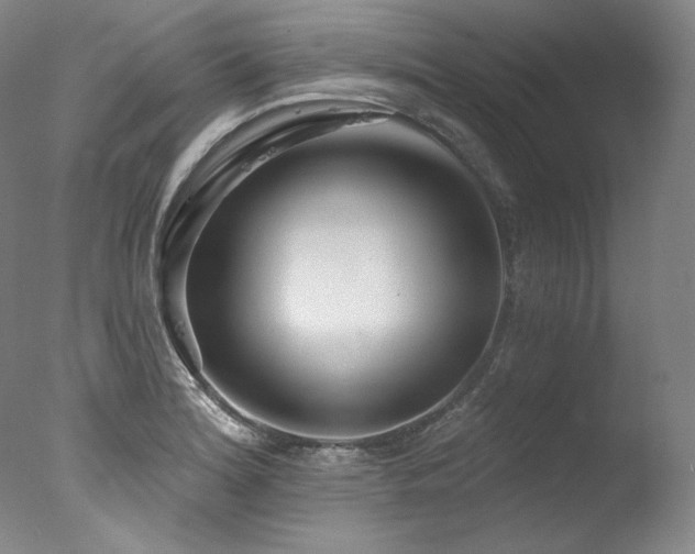 X0000077371180200610201341