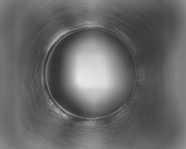 X0000077371182200610201341