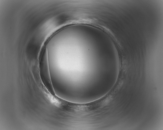 X0000077371184200610201341