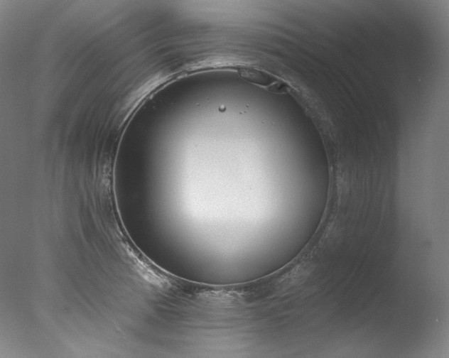 X0000077371185200610201341