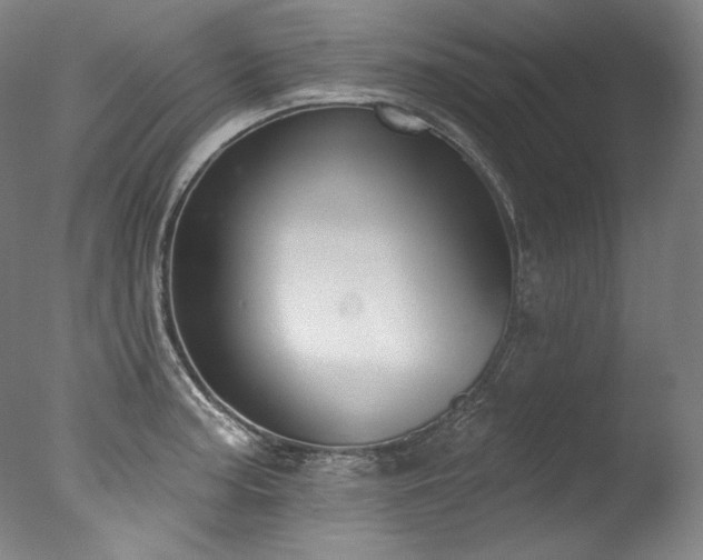 X0000077371187200610201340