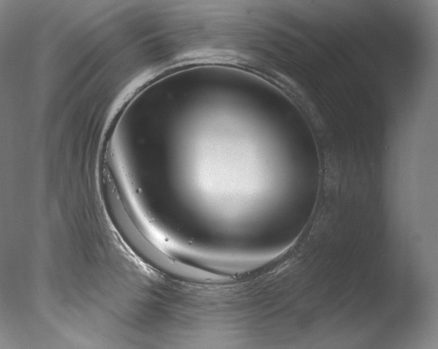 X0000077371188200610201340