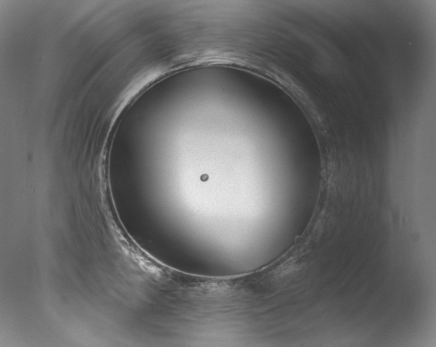 X0000077371190200610201340