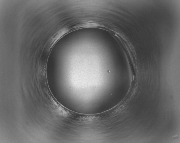 X0000077371193200610201340