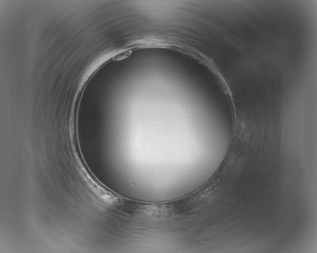 X0000077371195200610201340