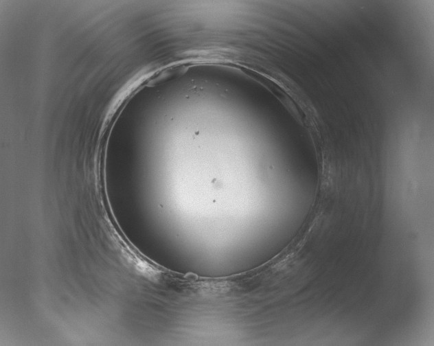 X0000077371196200610201340