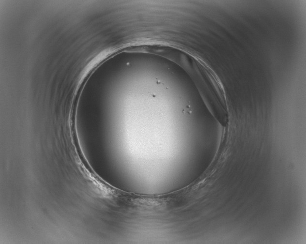 X0000077371197200610201340