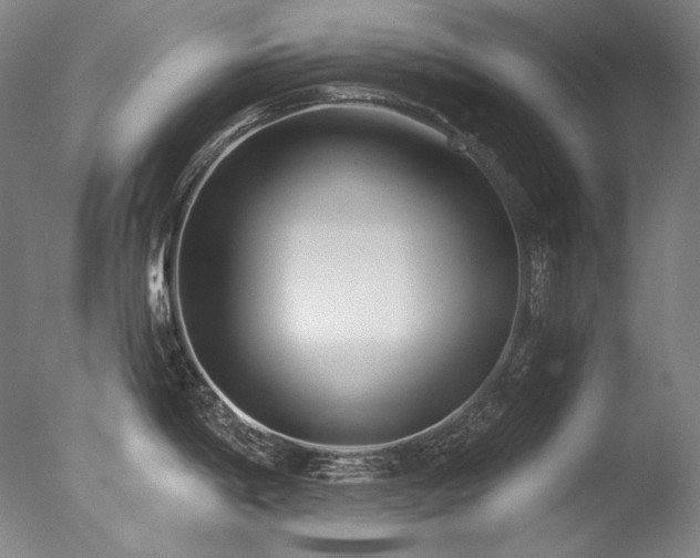 X0000077371198200610201340