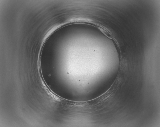 X0000077371199200610201340