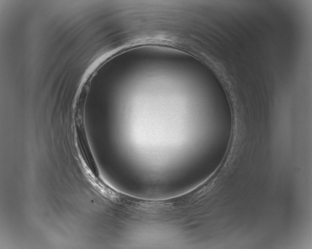 X0000077371200200610201340