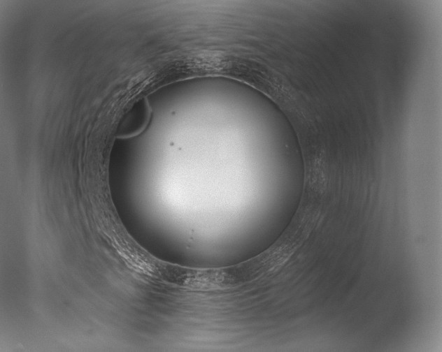 X0000077371201200610201339