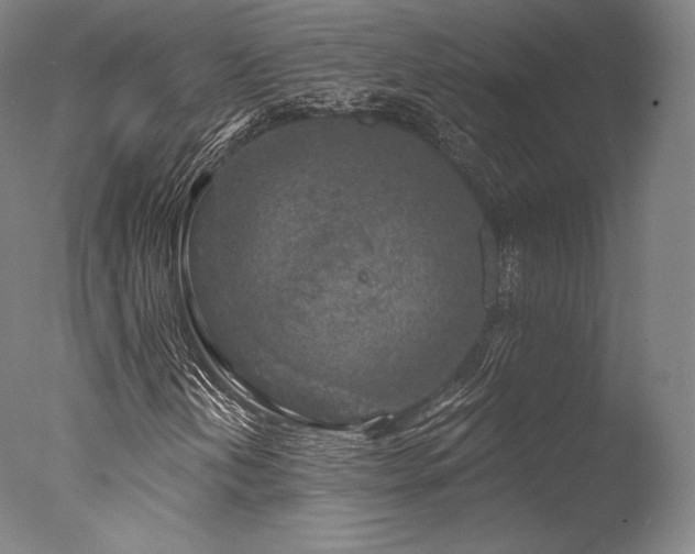 X0000077371202200610201339