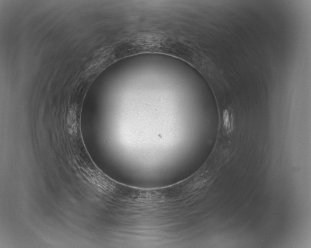 X0000077371203200610201339